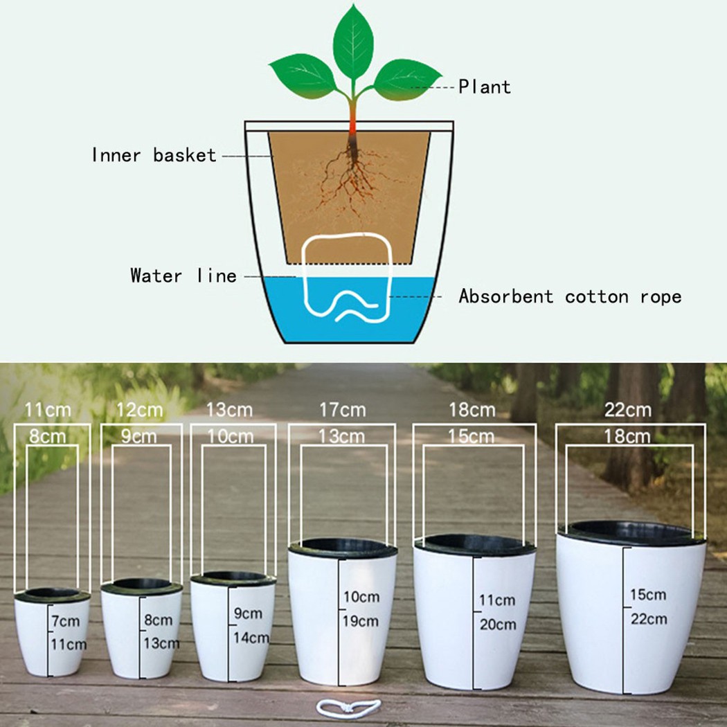 자동 급수 꽃 식물 화분, 레이지 화분, 모조 도자기, - Self Watering Insert 리뷰 및 가격